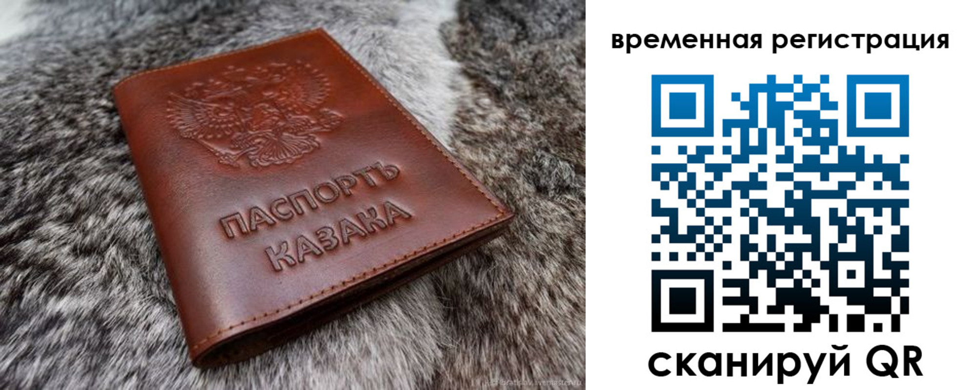 прописка 2025 в Елабуге